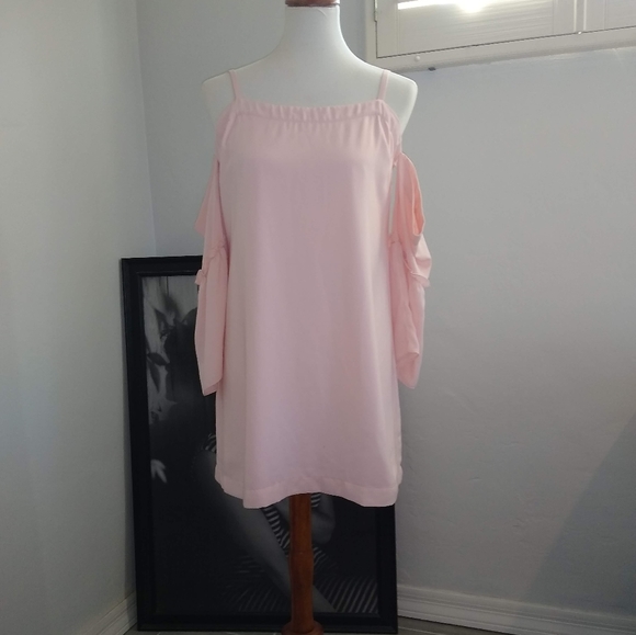 Pink Naked Zebra Dress - Picture 1 of 4